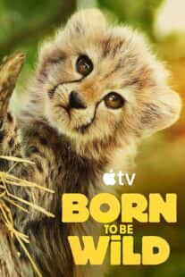 Born to Be Wild