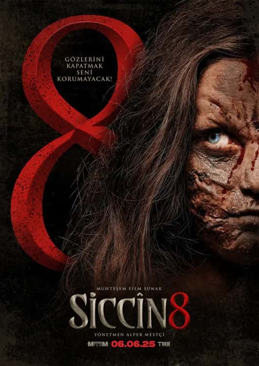 Siccin 8