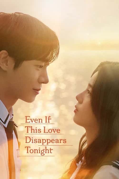 Even If This Love Disappears from the World Tonight