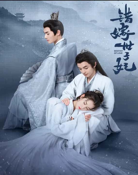 Destiny of Love