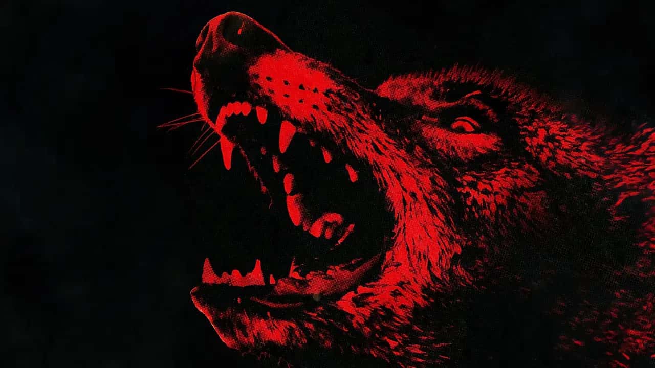 Coyotes