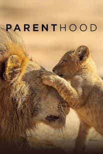 Parenthood
