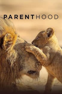 Parenthood
