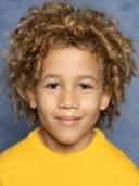Arris Crooke