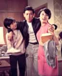 Fan Yang