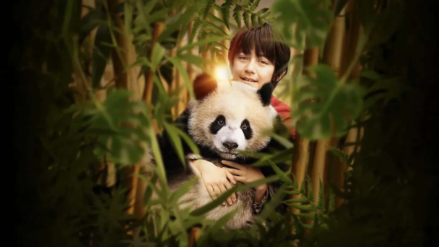 Moon the Panda