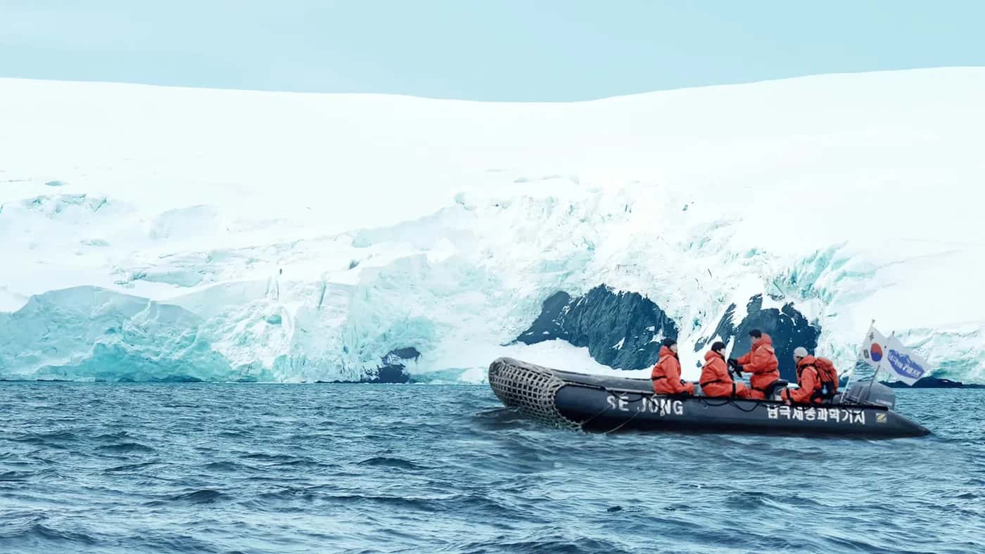 Chef of Antarctica