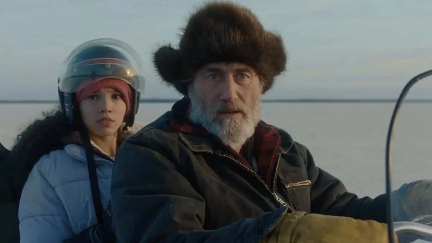 Hair of the Bear