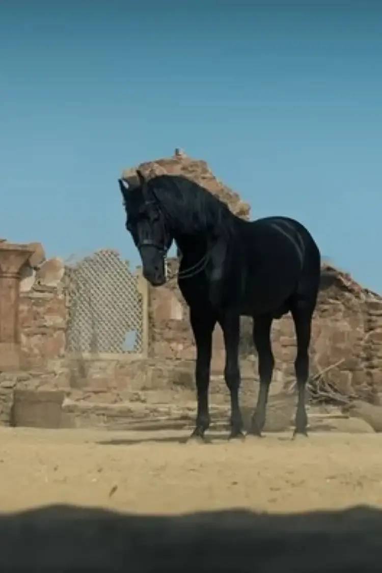 Azaad