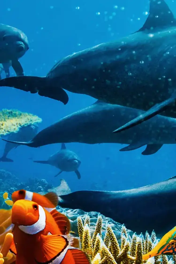 Ocean with David Attenborough
