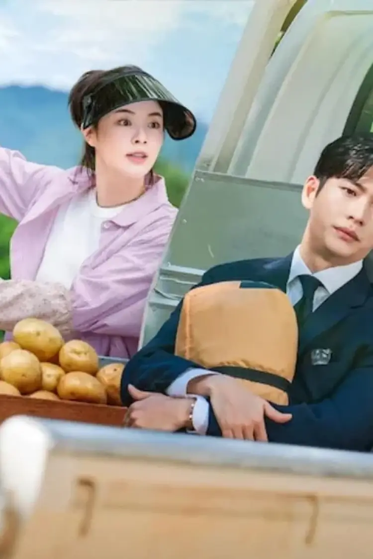 The Potato Lab